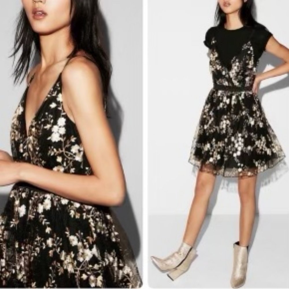 Express Embroidered Party Dress NWT